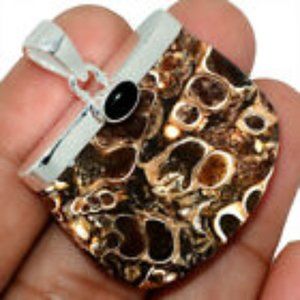 Turtella Fossil Agate with Black Onyx 925 SS
